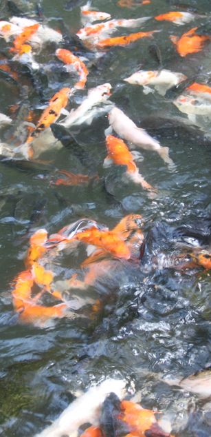 Model - my name is masadesex