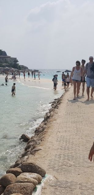 Model - BlackVelvetX toys