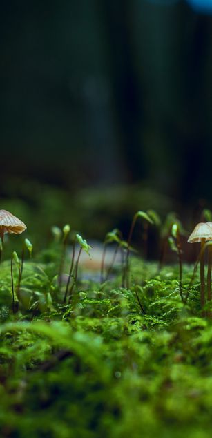 Model - Jane Miller sexy