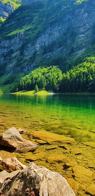 Model - m00nshine roleplay