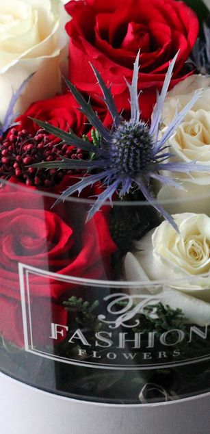 Model - Sexyisabele777 cum