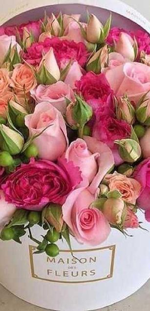 Model - Sexyisabele777 cum