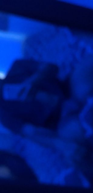 Model - Bylogan sport