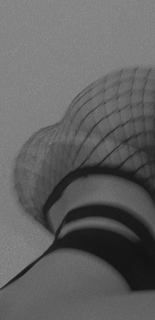 Model - Rose Gray squirt