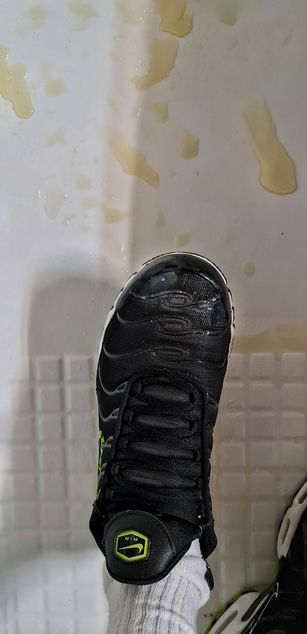 Model - TonyCollins dom