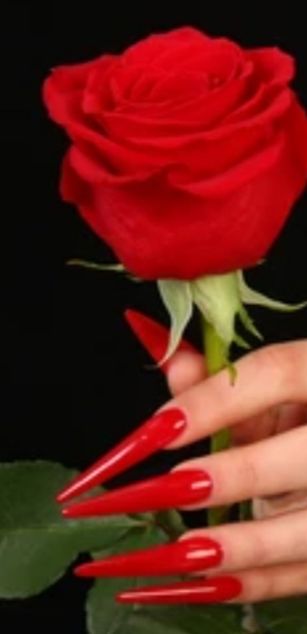 Model - Supreme Domina joi