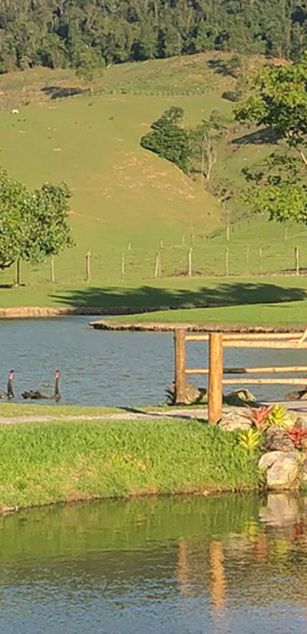 Model - VickStar milf