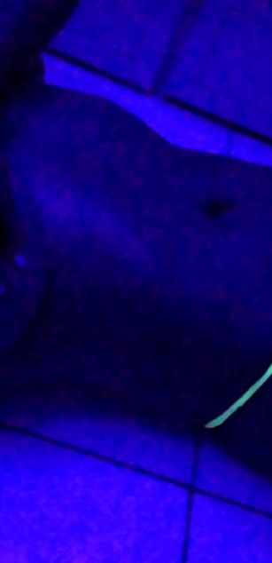 Model - FaceSitter roleplay