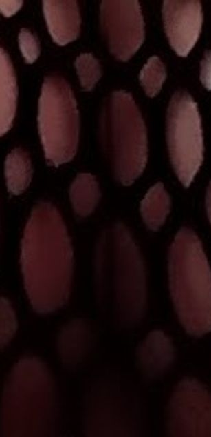 Model - Lady Lexie Sex ass