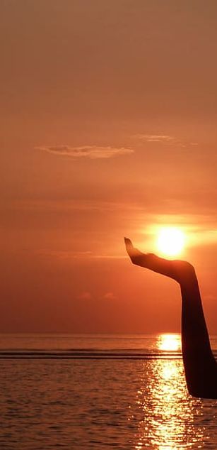 Model - sexi.morena28 fun