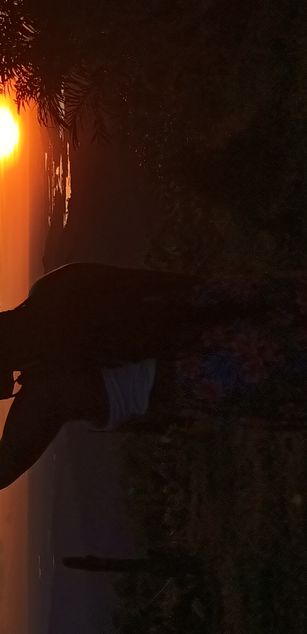 Model - _jhoa_c pussy