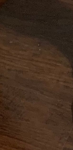 Model - pocahontasgrim findom