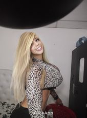 trans18inchescock