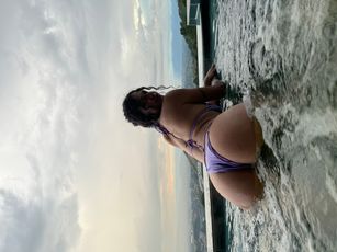 stella