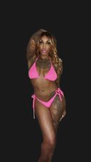 january_vice