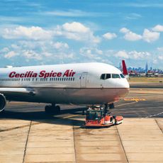 ceciliaspice