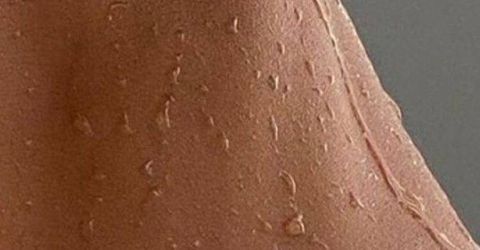 Profile picture - Vanila_caramel