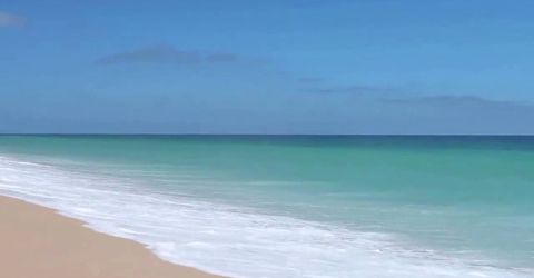 Profile picture - eloyxlatin 