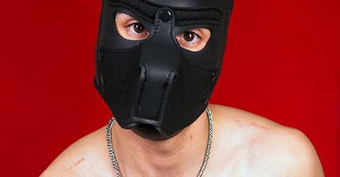 Profile picture - Mathew Conelly