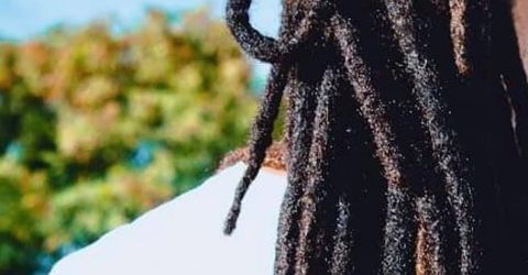 Profile picture - Havana