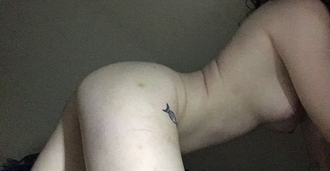 Profile picture - Kleine Katze