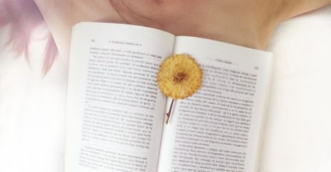 Profile picture - Allison