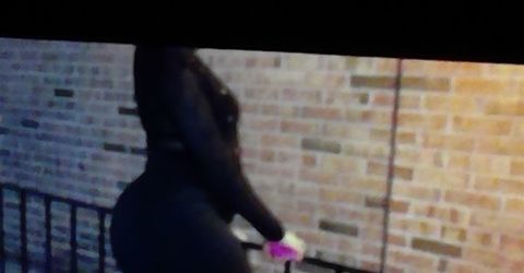 Profile picture - Sweet Fantasy