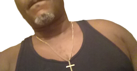 Profile picture - lexington steed