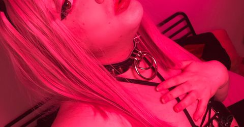 Profile picture - Nikola Strife