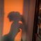 Profile picture - lowly