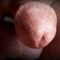 Profile picture - CaryGranite