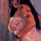 Profile picture - Nicol