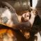 Profile picture - Katy_Kryshtov