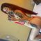 Profile picture - Natasha Collen