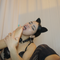 Profile picture - AmberSweet