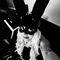 Profile picture - Mistress Imola