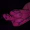 Profile picture - SharonJazz