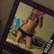 Profile picture - Devan Sparx