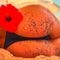 Profile picture - BestBoobs