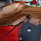 Profile picture - ariana_hopper