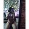 Profile picture - Gabriela