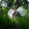 Profile picture - Alice Kogan