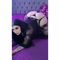 Profile picture - Chama369vc