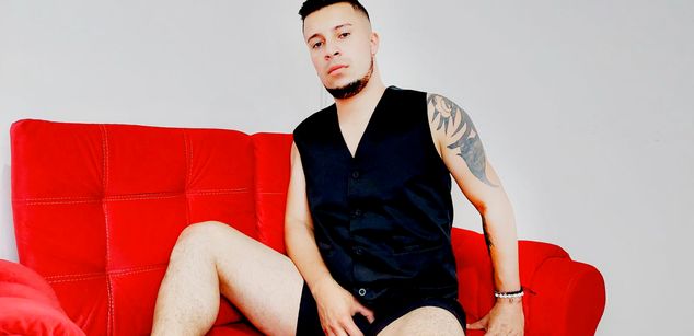 Model - DanteAnki chat