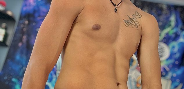 Model - Wex_keler bi