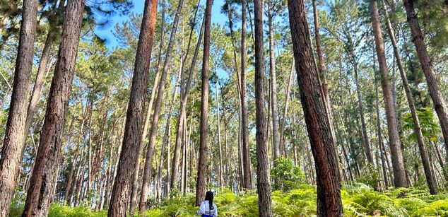 Model - CamilaandJackson nolimits