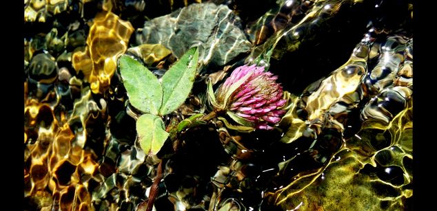 Model - Tanganika bigtits