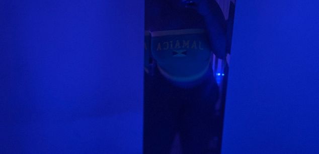 Model - richoffeka bbc