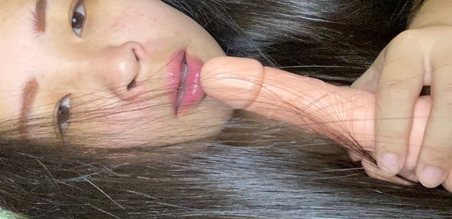 Model - Lilly village