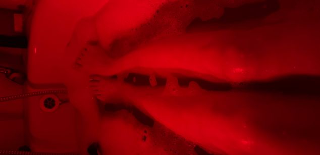 Model - eva_foxy new